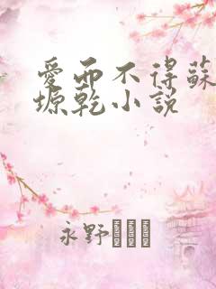 爱而不得苏路顾塬乾小说