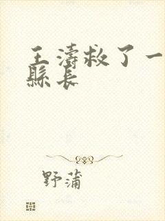 王涛救了一个女县长