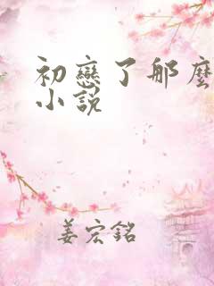 初恋了那么多年小说