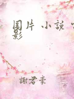 图片 小说 电影