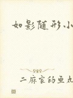 如影随形小说