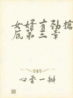 女婿有劲枪枪到底第三章