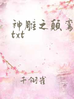 神雕之颠鸾倒凤txt