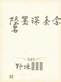 陆墨琛秦念小说名