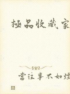 极品收藏家