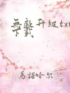 无敌升级txt下载