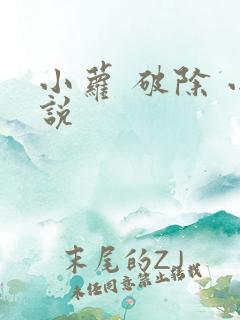 小萝 破除 小说