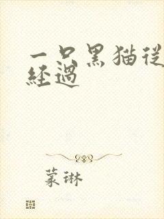 一只黑猫从眼前经过