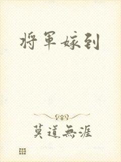 将军嫁到