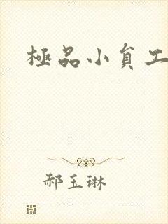 极品小员工