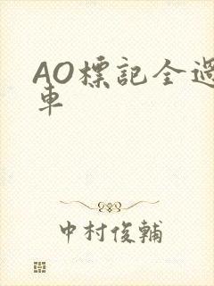 AO标记全过程车