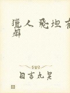 猎人 飞坦有洁癖