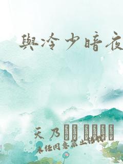 与冷少暗夜孽爱
