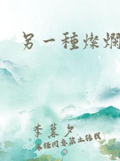 另一种灿烂生活