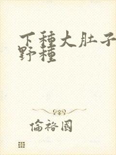 下种大肚子怀孕野种