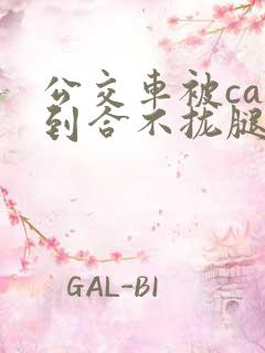 公交车被cao到合不拢腿视频