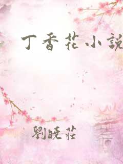 丁香花小说