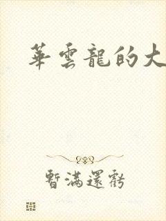 华云龙的大宝贝