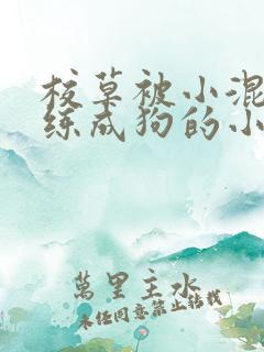 校草被小混混训练成狗的小说