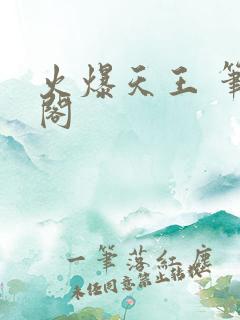 火爆天王 笔趣阁