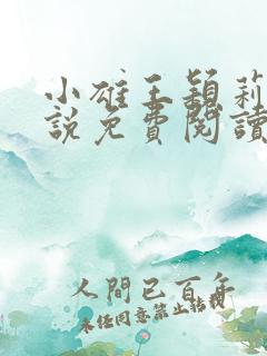 小雄王颖莉的小说免费阅读全文