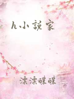h小说家