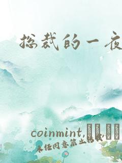 总裁的一夜情人