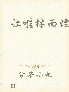 江唯林南烟
