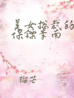 美女总裁的护花保镖李南