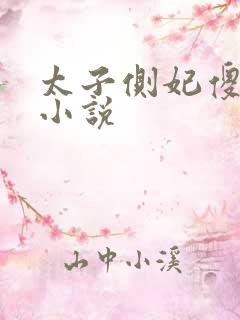 太子侧妃傻乎乎小说