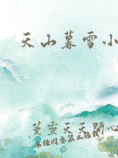 天山暮雪小说