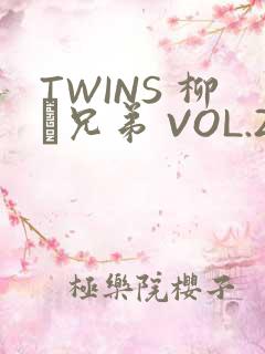 TWINS 柳澤兄弟 VOL.2