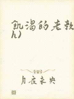 饥渴的老教授(h)