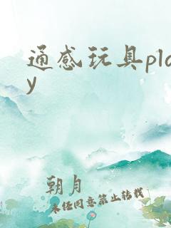 通感玩具play