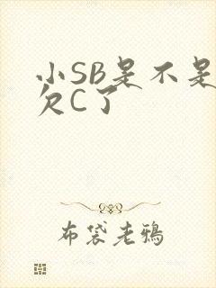 小SB是不是又欠C了