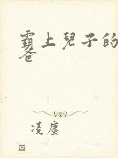 霸上儿子的总裁爸