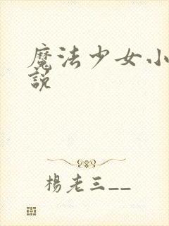 魔法少女小圆小说