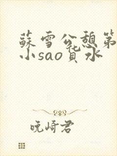 苏雪公憩第一章小sao货水