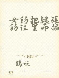 女的把腿张开男的往里面插