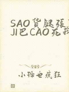 SAO货腿张开JI巴CAO死我