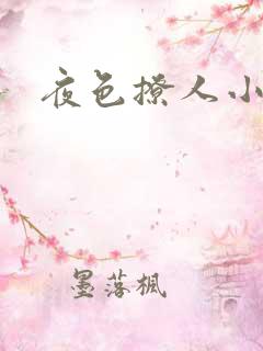夜色撩人小说