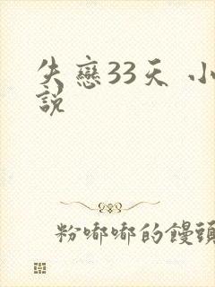 失恋33天 小说