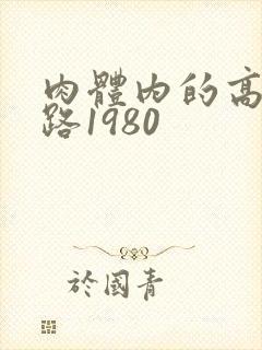 肉体内的高速公路1980
