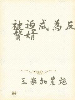 被迫成为反派的赘婿