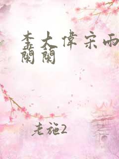 李大伟宋雨睛孙兰兰