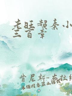 老旺超秦小雨第三百章