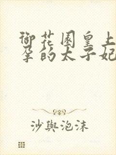 御花园皇上c有孕的太子妃