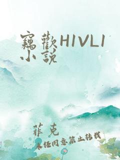 窃欢H1VL1小说