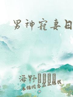 男神宠妻日常