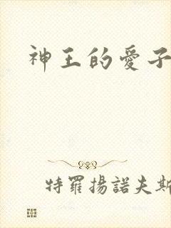 神王的爱子